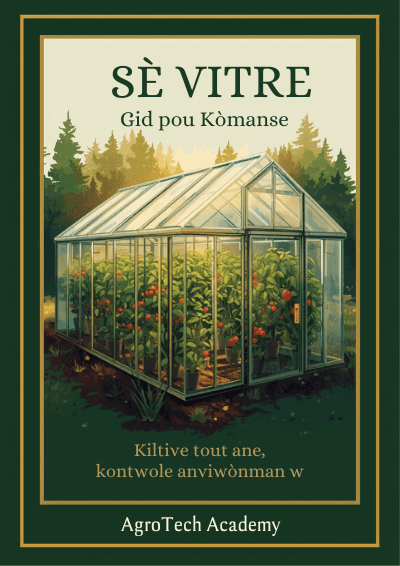 Sè Vitre: Gid pou Kòmanse